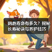鹦鹉寿命有多久？揭秘长寿秘诀与养护技巧(图4)