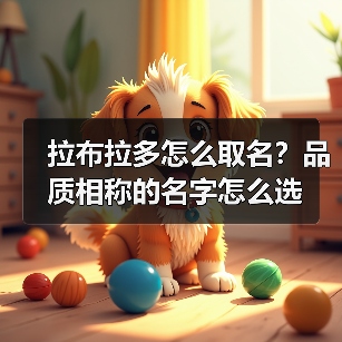 拉布拉多怎么取名？品质相称的名字怎么选 - 辰飞雨新生家伴