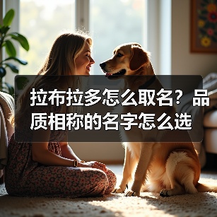 拉布拉多怎么取名？品质相称的名字怎么选(图4)