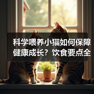 科学喂养小猫如何保障健康成长？饮食要点全解析(图3)