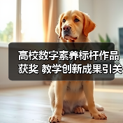 高校数字素养标杆作品获奖 教学创新成果引关注 - 辰飞雨新生家伴