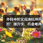 外科中阶实操班杭州开班！提升快，机会难得(图2)