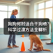 狗狗何时适合干狗粮？科学过渡方法全解析(图2)