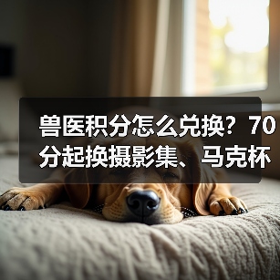 兽医积分怎么兑换？70分起换摄影集、马克杯等礼品 - 辰飞雨新生家伴