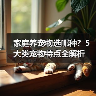 家庭养宠物选哪种？5大类宠物特点全解析(图3)