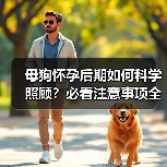 母狗怀孕后期如何科学照顾？必看注意事项全解析(图3)
