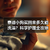 泰迪小狗买回来多久能洗澡？科学护理全攻略(图2)