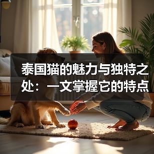 泰国猫的魅力与独特之处：一文掌握它的特点与习性 - 辰飞雨新生家伴