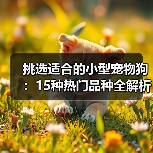 挑选适合的小型宠物狗：15种热门品种全解