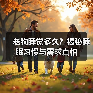 老狗睡觉多久？揭秘睡眠习惯与需求真相(图4)