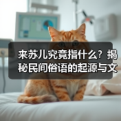 来苏儿究竟指什么？揭秘民间俗语的起源与文化内涵 - 辰飞雨新生家伴