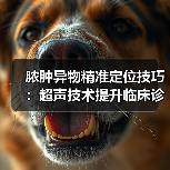 脓肿异物精准定位技巧：超声技术提升临床诊断效率(图4)