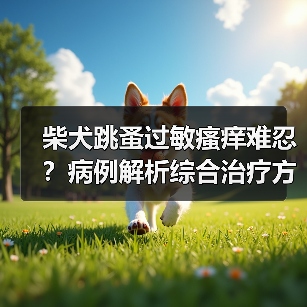 柴犬跳蚤过敏瘙痒难忍？病例解析综合治疗方案(图3)