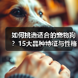 如何挑选适合的宠物狗？15大品种特征与性格全解析(图2)