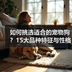 如何挑选适合的宠物狗？15大品种特征与性格全解析(图3)