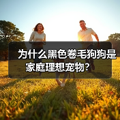 为什么黑色卷毛狗狗是家庭理想宠物？(图2)