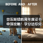 兽医继续教育年度证书申领攻略！学分达标兑换精美礼品 - 辰飞雨新生家伴