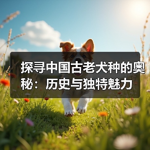 探寻中国古老犬种的奥秘：历史与独特魅力