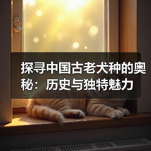 探寻中国古老犬种的奥秘：历史与独特魅力(图3)