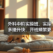 外科中阶实操班，实操多提升快，开班频繁更高效 - 辰飞雨新生家伴