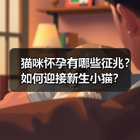 猫咪怀孕有哪些征兆？如何迎接新生小猫？(图3)