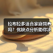 拉布拉多适合家庭饲养吗？优缺点分析助你决