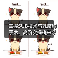 掌握SUB技术与乳糜胸手术，高阶实操班来袭！(图2)