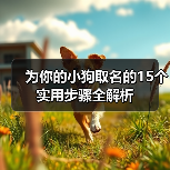 为你的小狗取名的15个实用步骤全解析(图3)