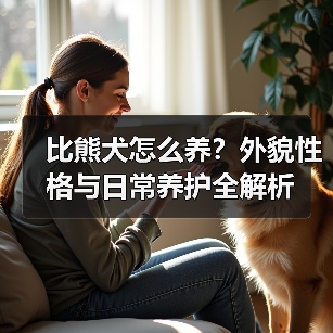 比熊犬怎么养？外貌性格与日常养护全解析 - 辰飞雨新生家伴