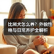 比熊犬怎么养？外貌性格与日常养护全解析(图3)