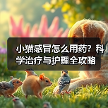 小猫感冒怎么用药？科学治疗与护理全攻略