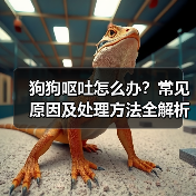 狗狗呕吐怎么办？常见原因及处理方法全解析(图3)