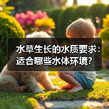 水草生长的水质要求：适合哪些水体环境？