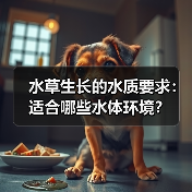 水草生长的水质要求：适合哪些水体环境？(图4)