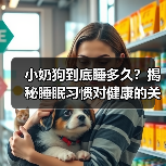 小奶狗到底睡多久？揭秘睡眠习惯对健康的关键影响 - 辰飞雨新生家伴