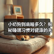 小奶狗到底睡多久？揭秘睡眠习惯对健康的关键影响(图3)