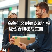 乌龟什么时候吃饭？揭秘饮食规律与原因 - 辰飞雨新生家伴