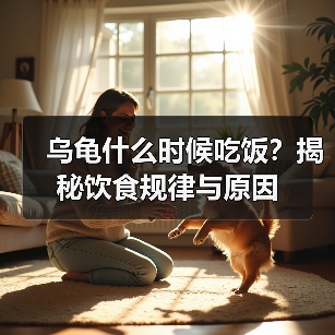 乌龟什么时候吃饭？揭秘饮食规律与原因(图3)