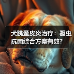 犬跳蚤皮炎治疗：驱虫抗菌综合方案有效？(图4)