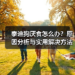 泰迪狗厌食怎么办？原因分析与实用解决方法(图2)