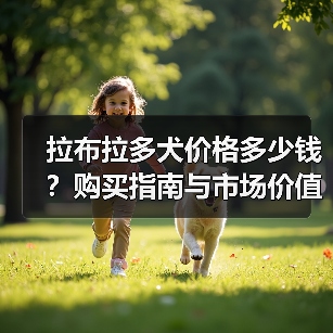 拉布拉多犬价格多少钱？购买指南与市场价值