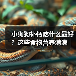 小狗狗补钙吃什么最好？这些食物营养满满(图2)
