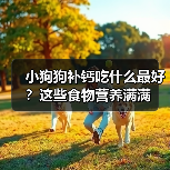 小狗狗补钙吃什么最好？这些食物营养满满(图3)