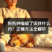 狗狗肿瘤破了该抹什么药？正确方法全解析(图4)