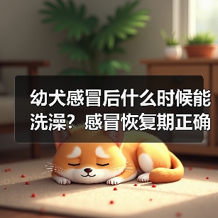 幼犬感冒后什么时候能洗澡？感冒恢复期正确
