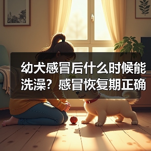 幼犬感冒后什么时候能洗澡？感冒恢复期正确洗澡时间安排(图3)