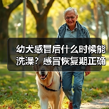 幼犬感冒后什么时候能洗澡？感冒恢复期正确洗澡时间安排(图4)