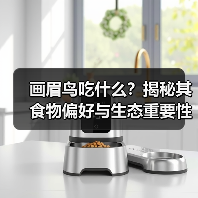 画眉鸟吃什么？揭秘其食物偏好与生态重要性 - 辰飞雨新生家伴