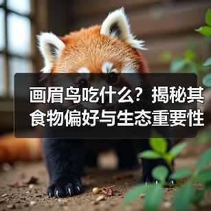 画眉鸟吃什么？揭秘其食物偏好与生态重要性(图4)
