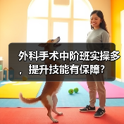 外科手术中阶班实操多，提升技能有保障？(图2)